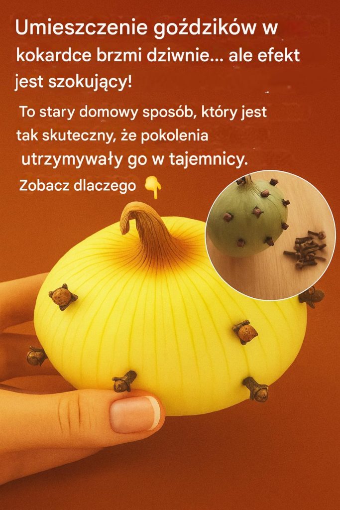 0ab61d2e-ad2e-4bb4-ad5f-b2acfe5c3efa 0ab61d2e-ad2e-4bb4-ad5f-b2acfe5c3efa