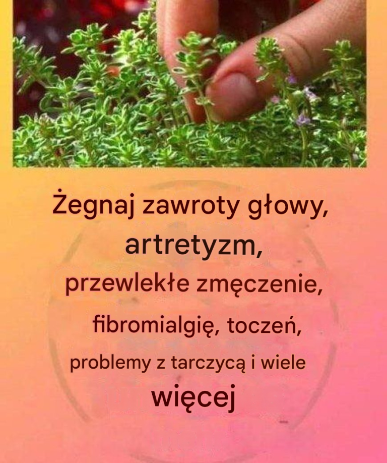 32de7646-61d1-4c1a-9922-c935119662ed (1)