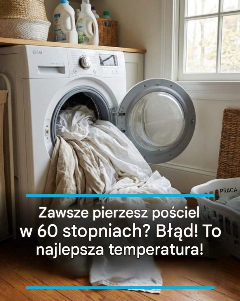 43c5f4f9-b3ba-45b2-8756-7c951c224710