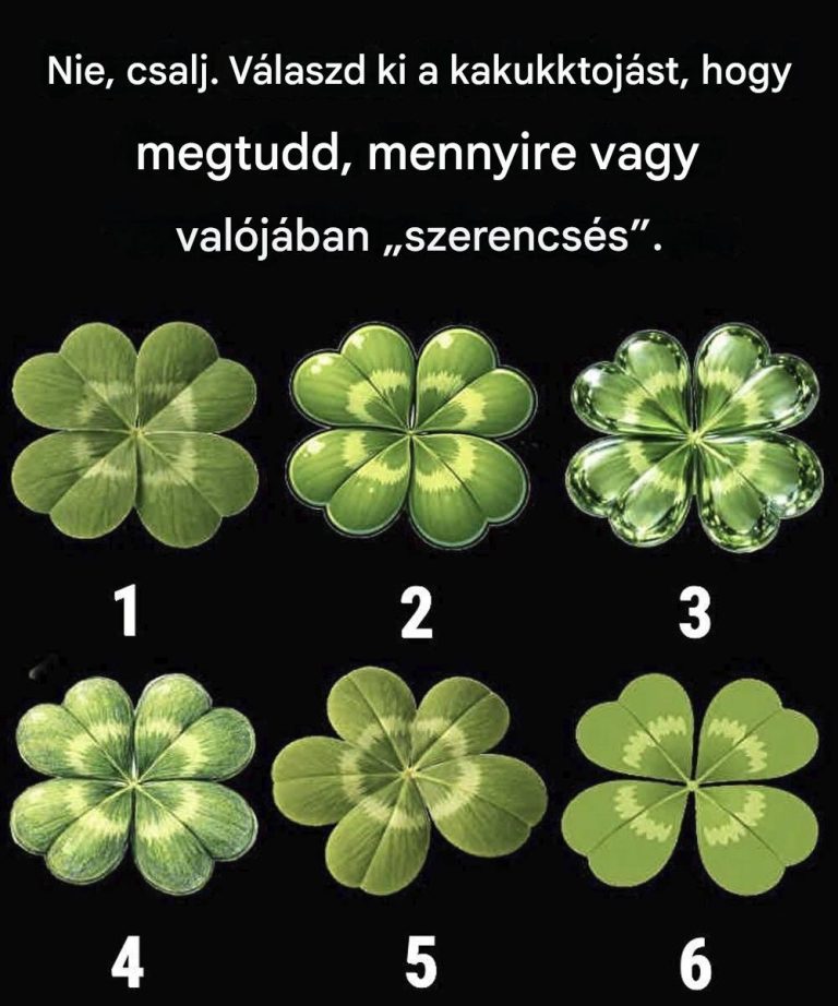 4d867e11-433a-4bb3-8277-46b5e7f3c5ff