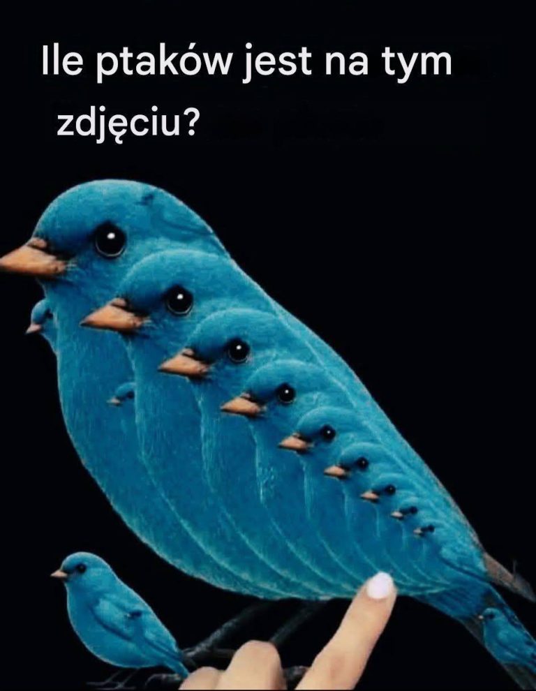 679628702_122097651170557346_5972905491539366092_n