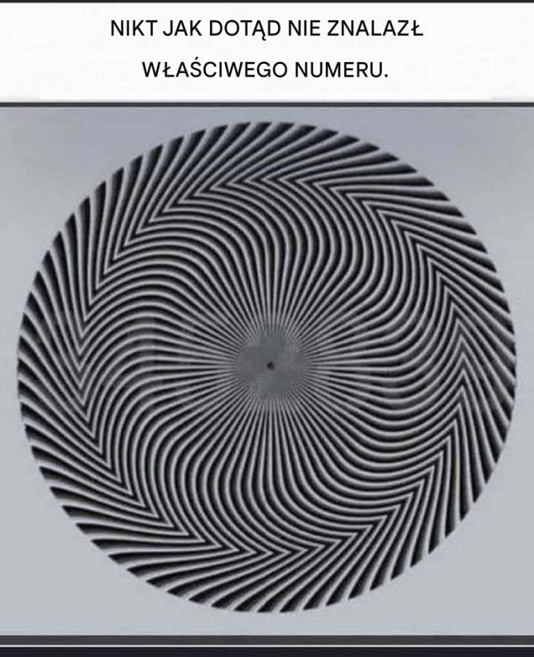 72d4ed1b-bac3-4c98-8e95-76ec16f6c864 (1)