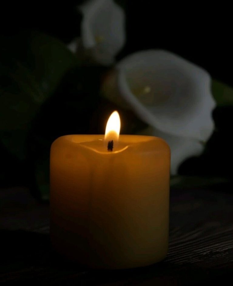 image_870x_6a38dbaa4459e