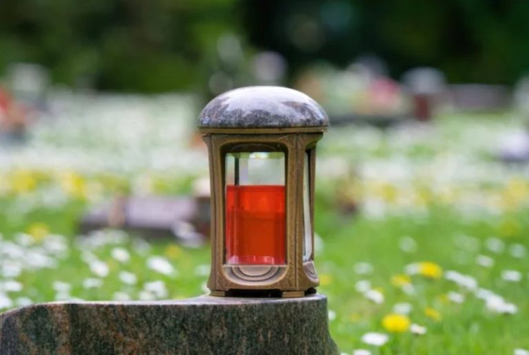 image_870x_6a40d8a7e7d52 (1)