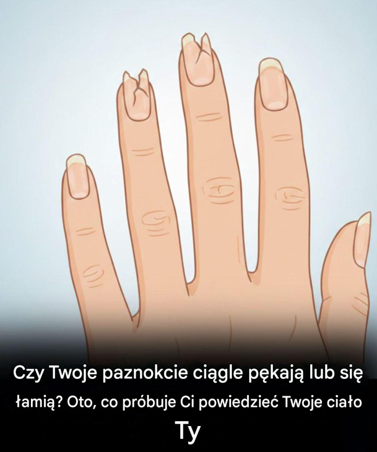 translated_image_pl-12-768×922 translated_image_pl-12-768×922