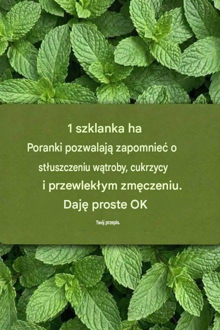 translated_image_pl-22-922×1024-1-768×853-1-1-8