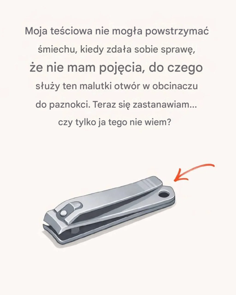translated_image_pl-4-768×960-1 (1)