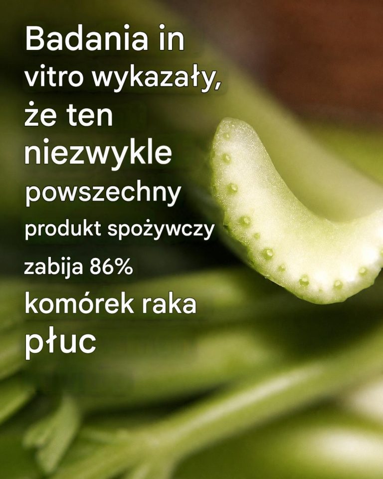 03e7a87a-e4c9-403a-95cb-d0aa25e676d6