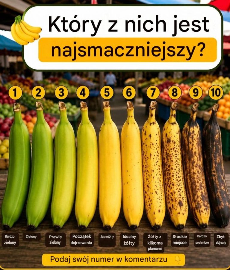 1-979-23-9-1-871×1024