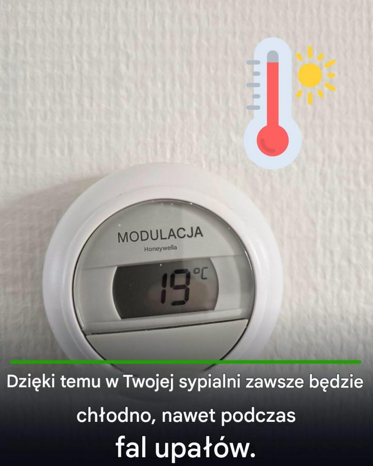 2cc5a797-6ca6-4e10-a85b-9ddb3cba7e5b