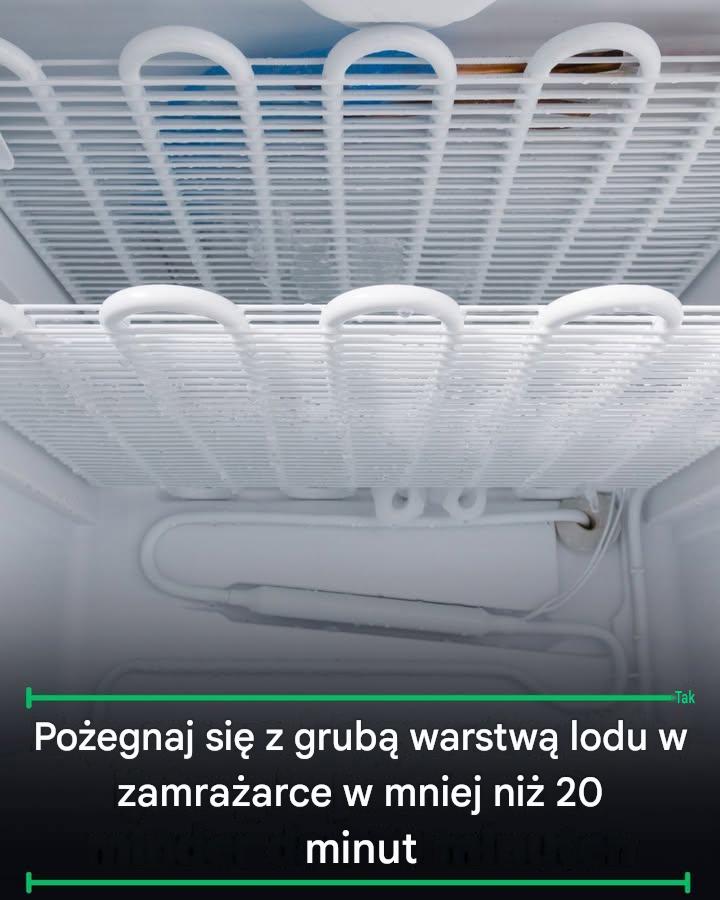 36936054-f6bc-4598-93d5-310a9cddf425 36936054-f6bc-4598-93d5-310a9cddf425
