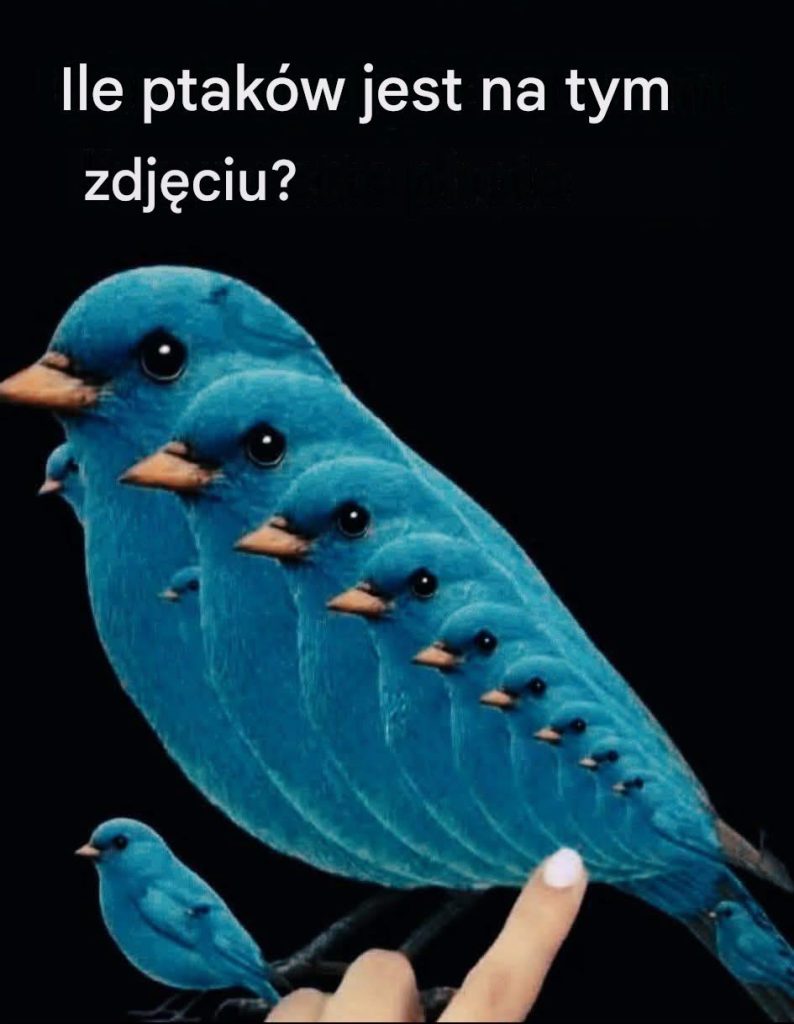 55e15d16-fd9a-4821-a295-8669da69995f 55e15d16-fd9a-4821-a295-8669da69995f