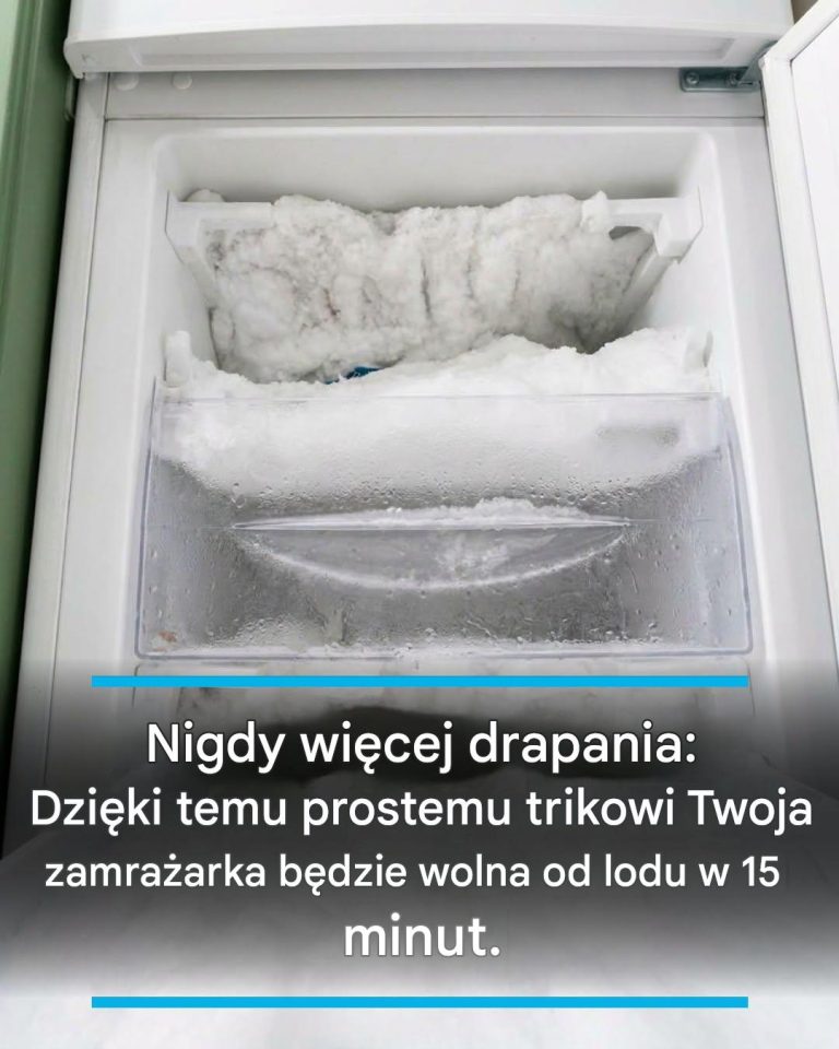 5d64f7dc-7f6c-4054-8550-effc8d0dbe0f