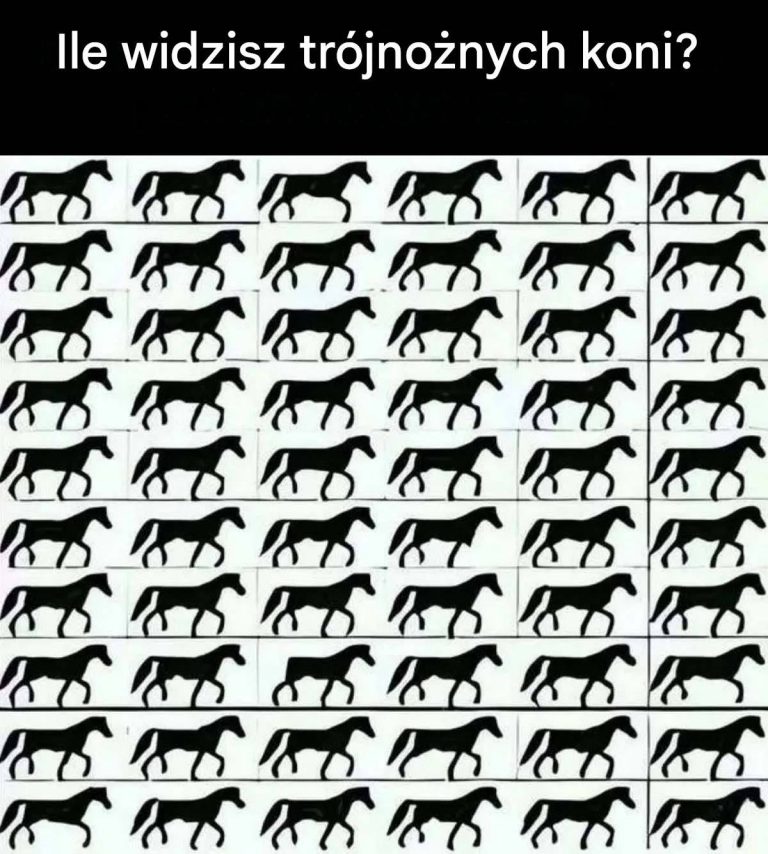 710468925_122213350676374387_8517441908270256156_n