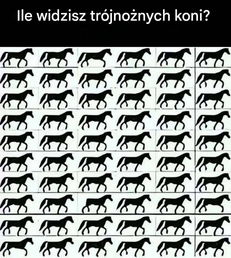 710468925_122213350676374387_8517441908270256156_n 710468925_122213350676374387_8517441908270256156_n