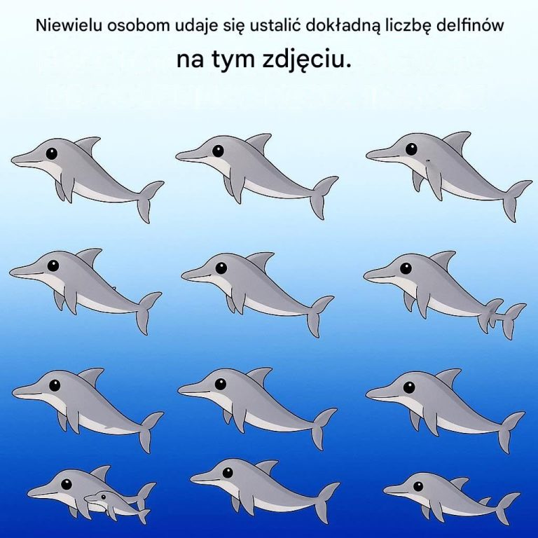 710782045_122213436608374387_3502414992090997806_n