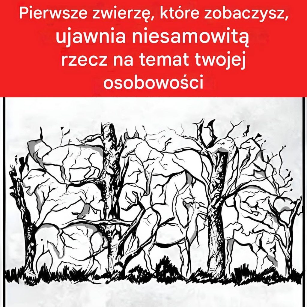 711655589_1313277577453177_6543413470393012163_n 711655589_1313277577453177_6543413470393012163_n