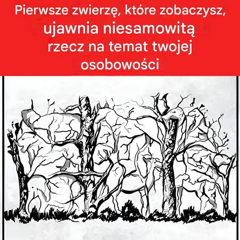 711655589_1313277577453177_6543413470393012163_n