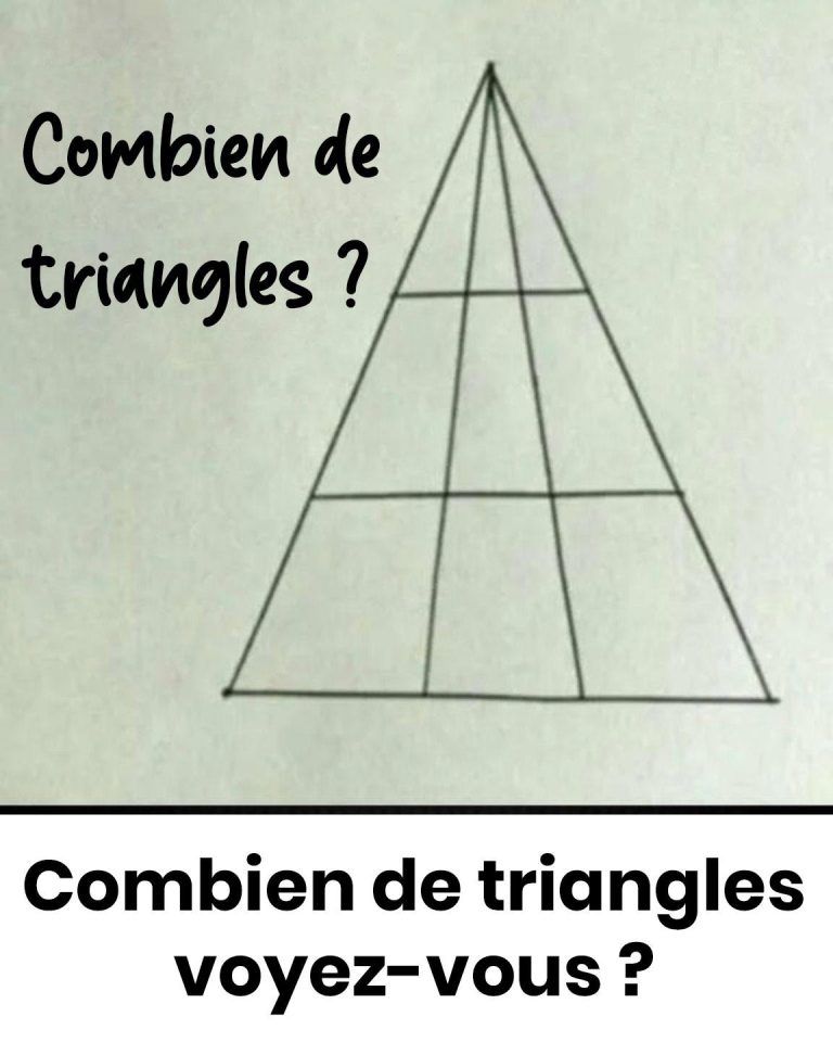 712247185_122103385029344966_6418391963003757192_n-768×960-1