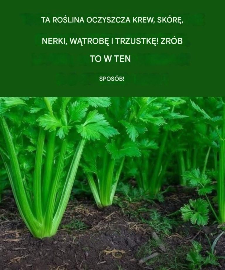 717048387_122179283366600575_1661829012670487549_n