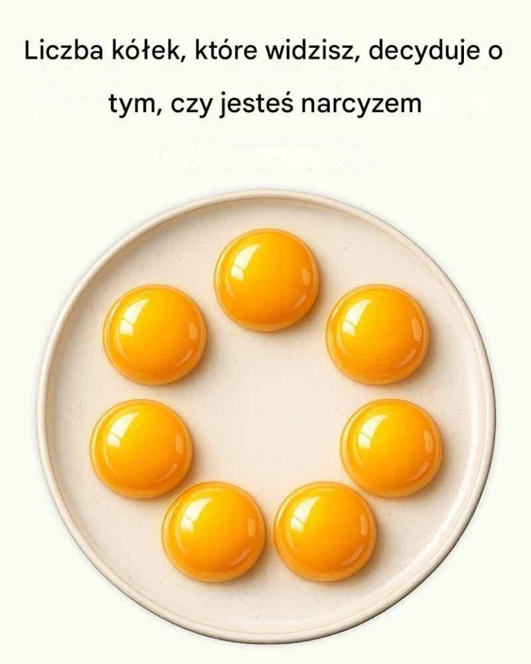 717154296_1694852961822129_531342095192237356_n
