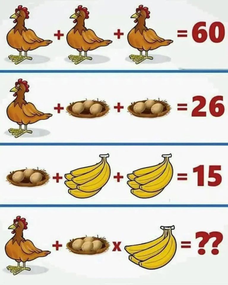 717237076_1003044432084383_7908027988086994467_n