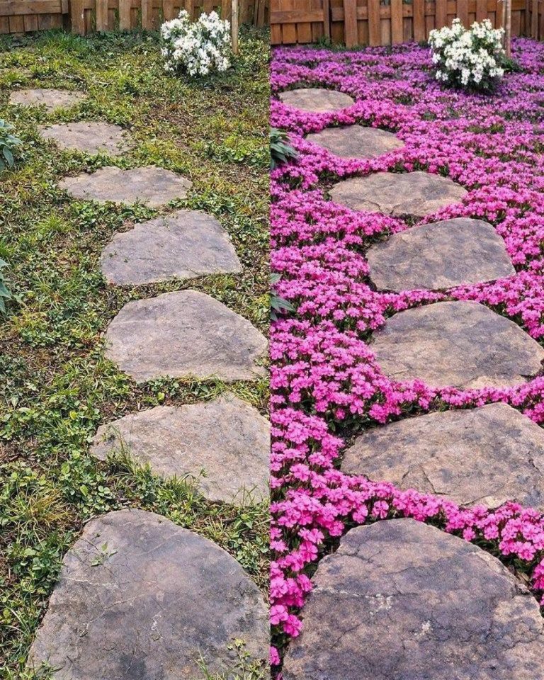 724076758_1530259895178082_6034444991173398482_n-768×960-1