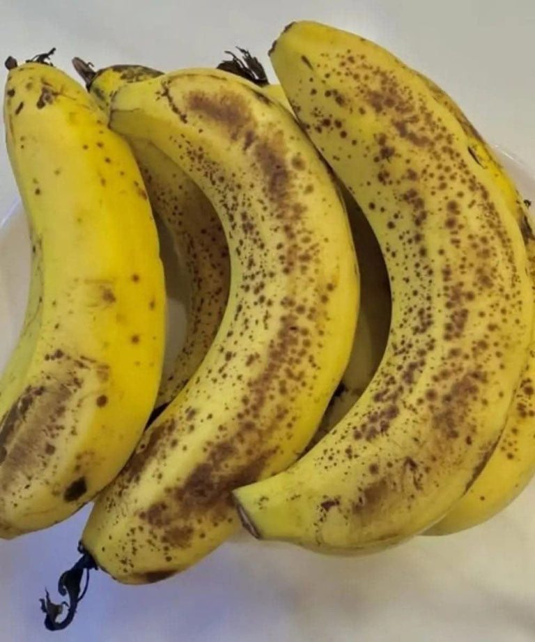 787021415_122123184723239715_5640011554450516936_n