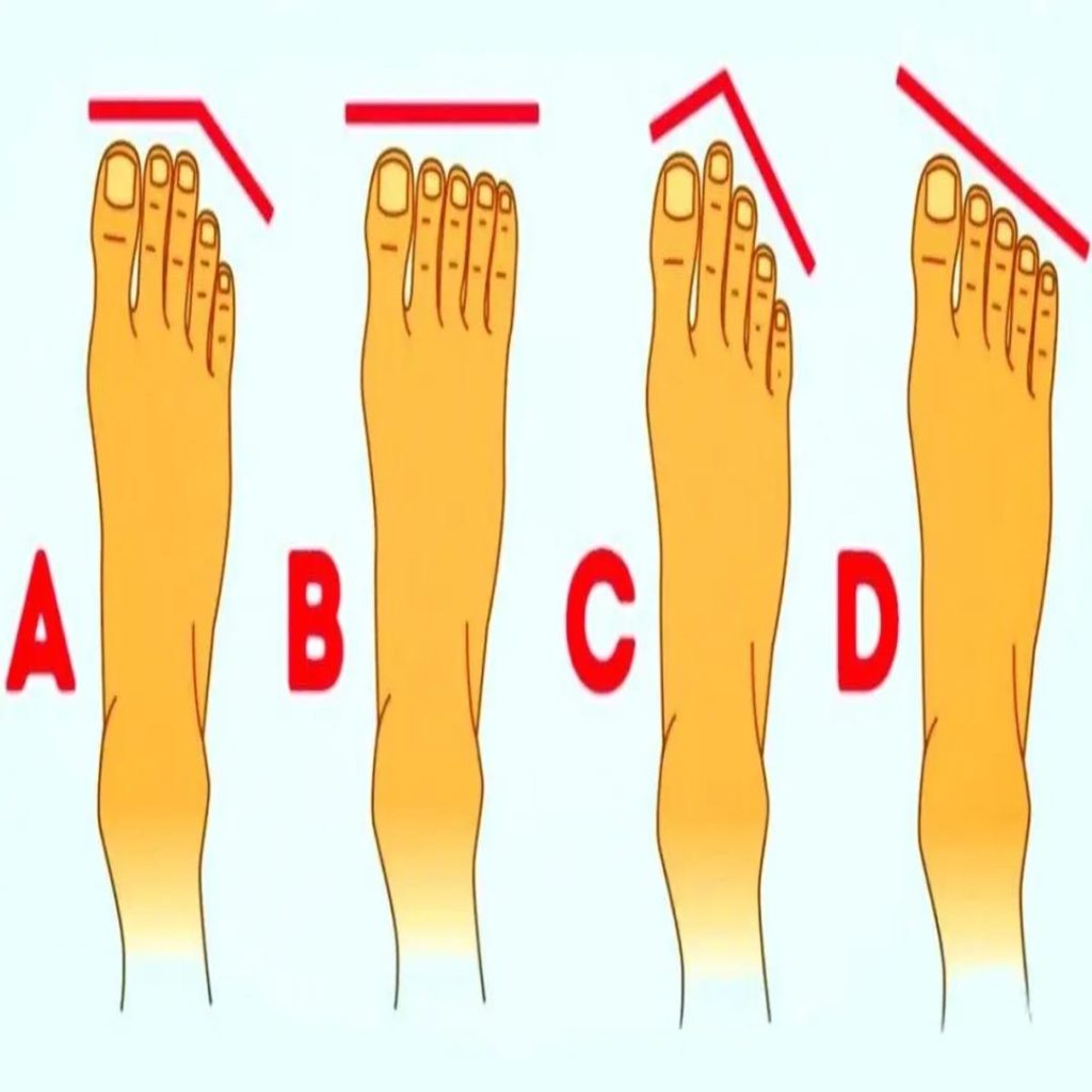 Untitled-Project-2025-08-11T230904.9991 Untitled-Project-2025-08-11T230904.9991