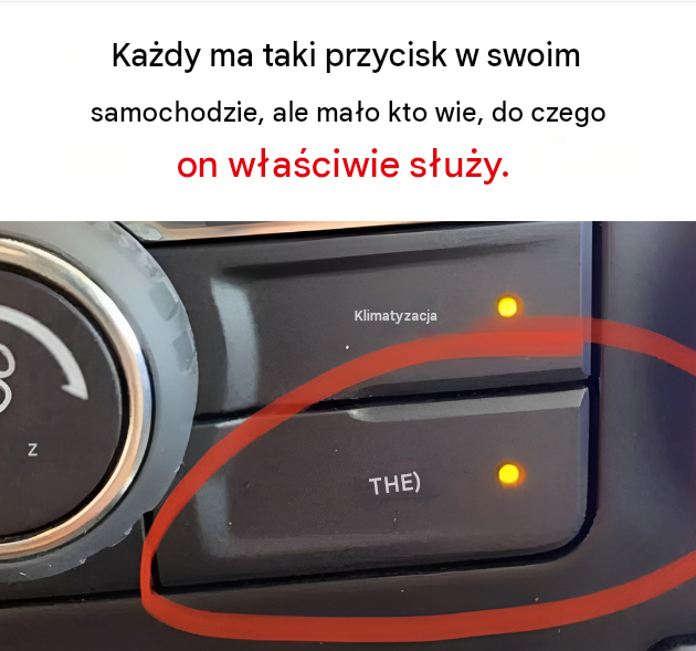 bf688e2d-3dd0-4d4f-88d6-c2364d38ff07 bf688e2d-3dd0-4d4f-88d6-c2364d38ff07