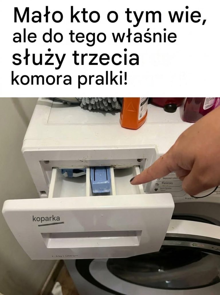 e249fd01-e61e-4f45-9925-d95714d99cd1