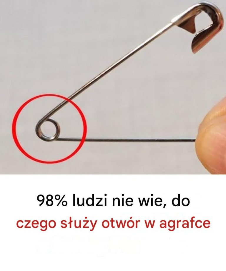 f96908de-078f-46f0-845d-66fd368a111c