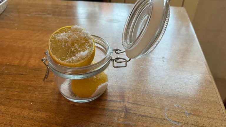 limone-e-sale-nel-barattolo