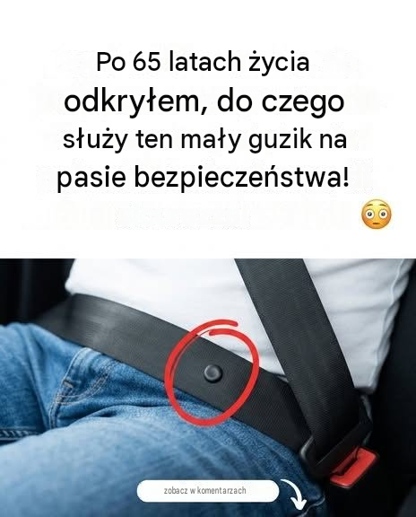 translated_image_pl-2026-08-02T133420.988 translated_image_pl-2026-08-02T133420.988