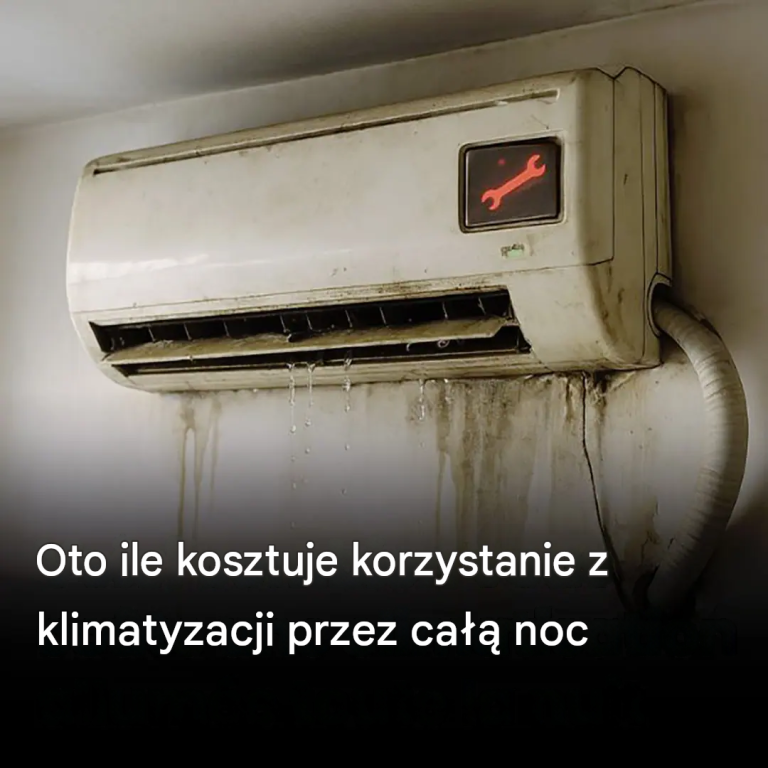 translated_image_pl-2026-08-10T133549.675