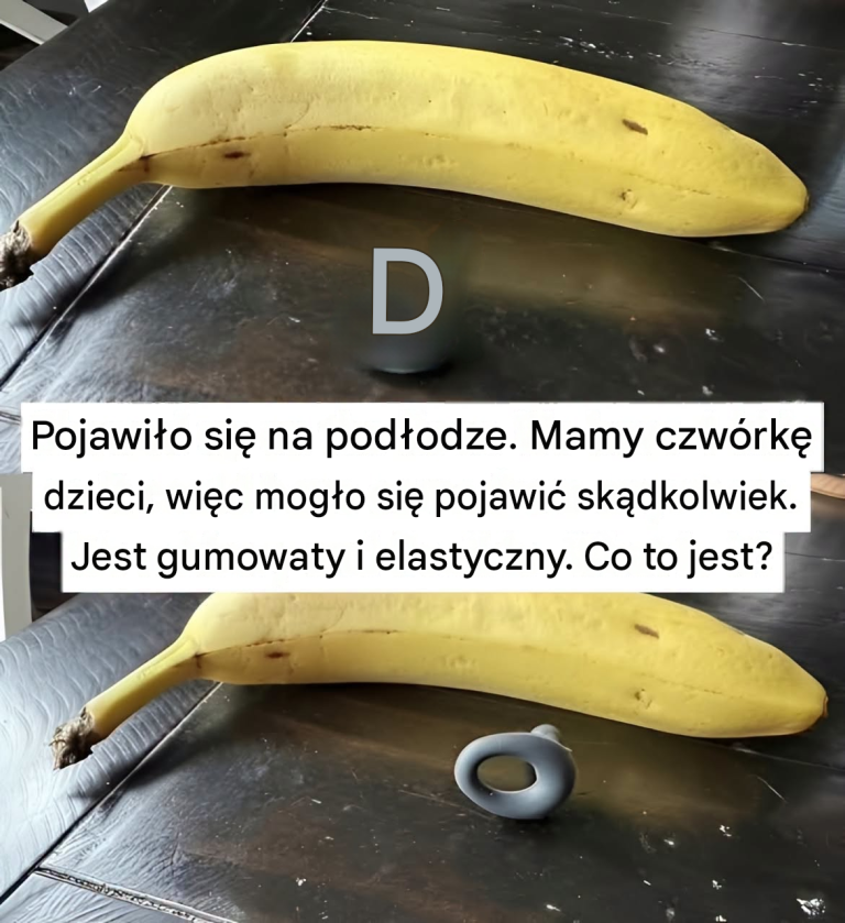 translated_image_pl-24