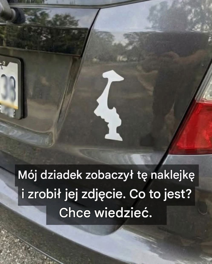 translated_image_pl-3-5 (1) translated_image_pl-3-5 (1)