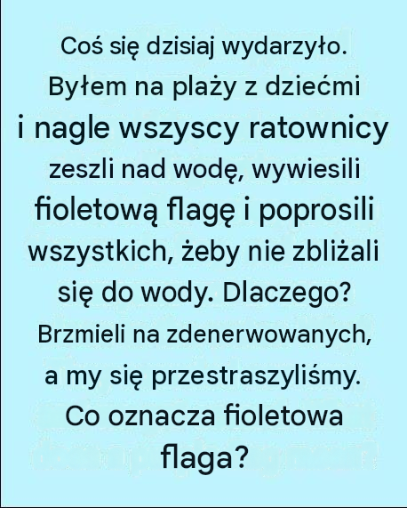 translated_image_pl-6-3 translated_image_pl-6-3
