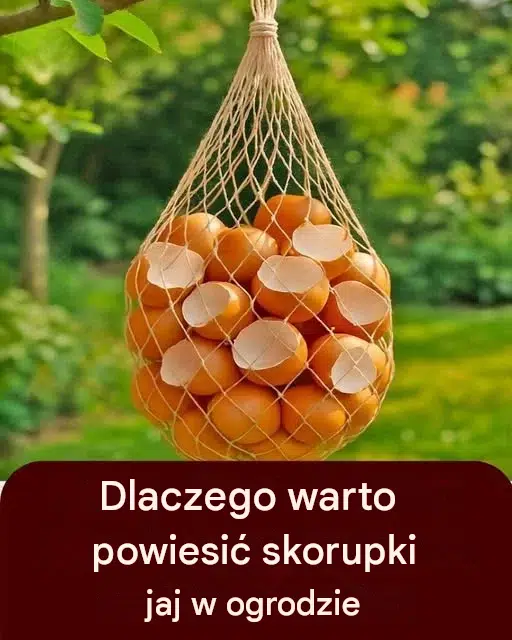 0fbf7d40-8c2f-4744-a926-d0a38accc1e6 0fbf7d40-8c2f-4744-a926-d0a38accc1e6